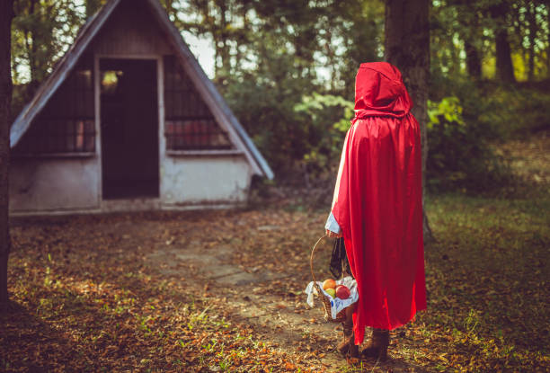 istock Little red riding hood 1074390120