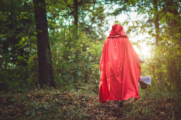 istock Little red riding hood 1074390890