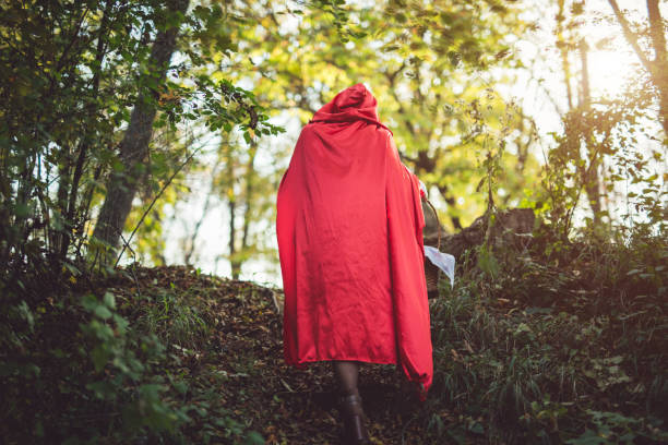 istock Little red riding hood 1074401964