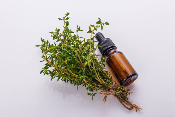 istock essential oil of thyme on a white background 1074405180