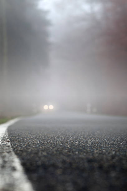 istock Dense fog on the forest road, oncoming traffic 1074436114