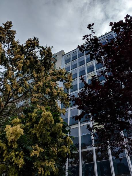 istock modern office building in the city 1074456952
