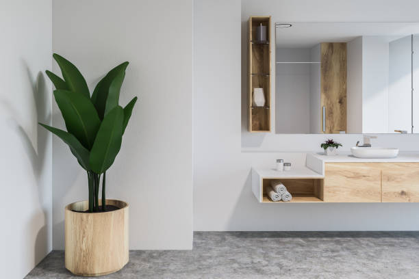 istock White bathroom interior, sink and plant 1074457976