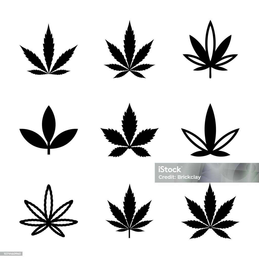 Weed and Marijuana Line and Glyph Icons Set This is amazing and outstanding pack identifying list of weed, marijuana and spot leaves line glyph icons. This set encompasses wide range of weed icons having same nature but diverse in styles and features. In this pack you can see vectors like, weed, marijuana, hemp, weed plant, and so on. Grab this pack and utilize it in related subjects. Marijuana - Herbal Cannabis stock vector