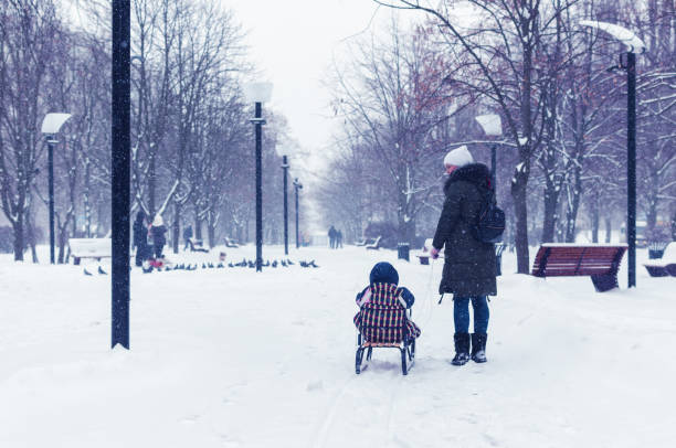 istock Mom pulls daughter on sled in winter park in snowfall 1074461254