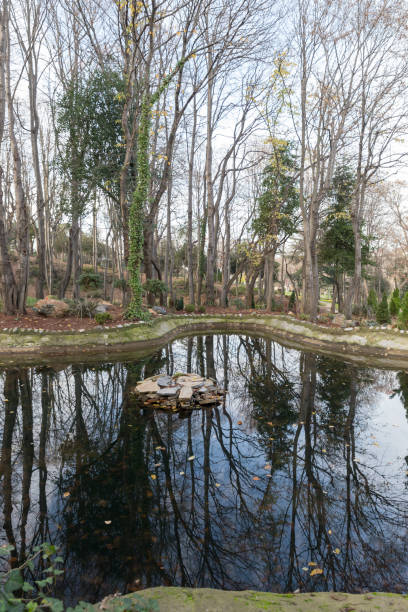 istock Lake shore, lake, park, city, reflection 1074473896