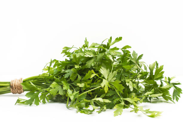 istock Parsley in a cut out view 1074480210