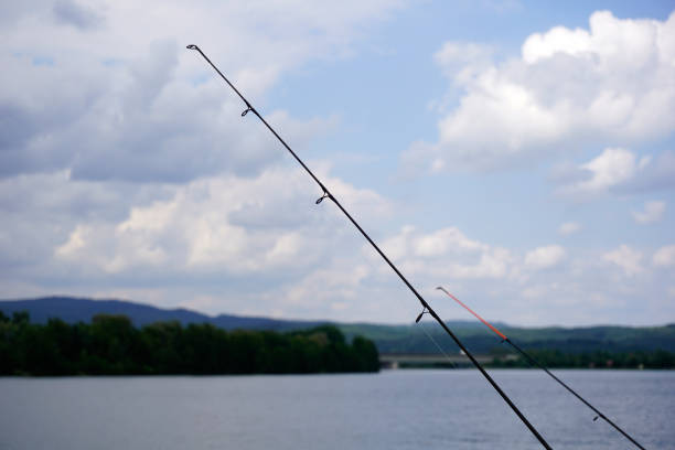 istock You need for fishing is fishhooks 1074497176