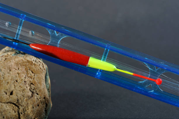 All you need for fishing is fishhooks and baitfish or artificial flies