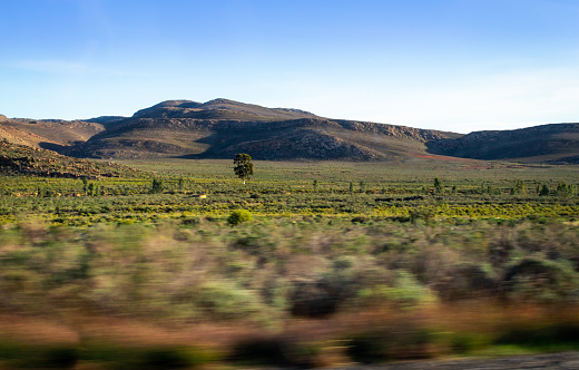Dry, arid wilderness landscape covered in small shrubs, and a mountain range in the background at sunrise, South Africa