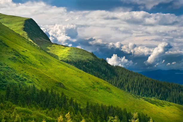 Spring in the Carpathian Mountains. Ukraine.