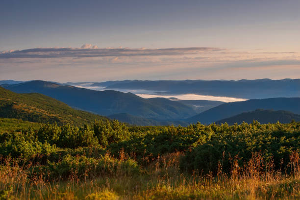 istock A sunny morning in the Carpathian mountains. Ukraine 1074499794