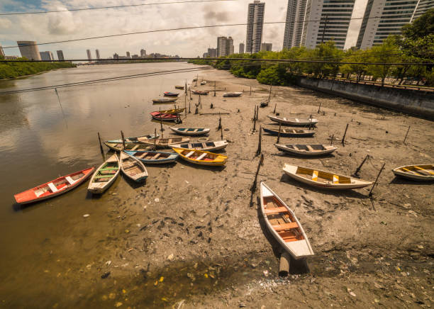 istock Fishing in Brazil 1074500374