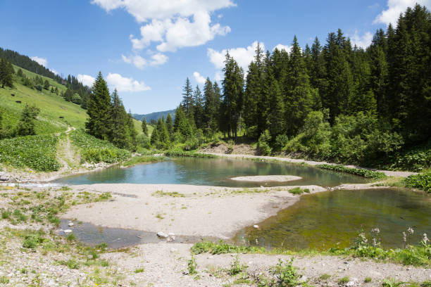 istock Sassey pond between Tovassiere and Morgins (canton Valais, Switzerland) 1074503054