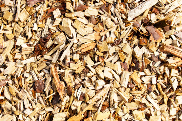 istock Large sawdust, background , wood texture 1074504340