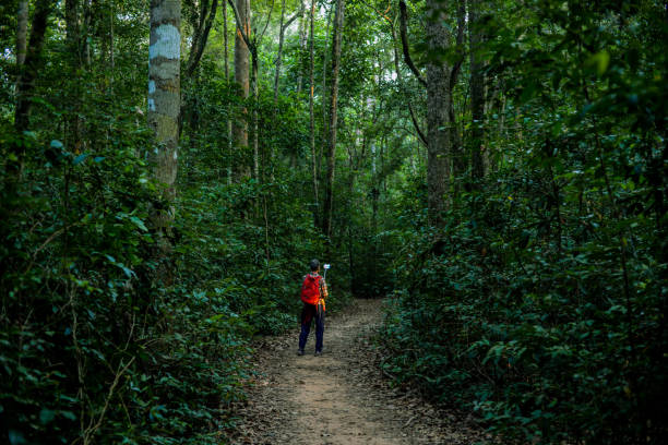 istock nature, jungle, man, adventure 1074524170