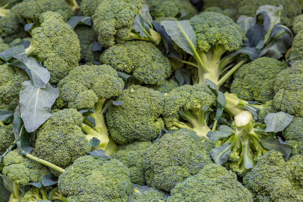 istock Broccoli For Sale on a Market Stall 1074525878