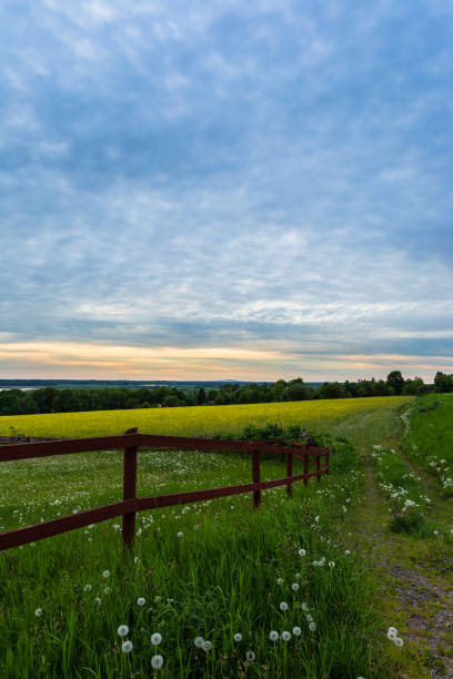 istock Evening over swedish country 1074529056