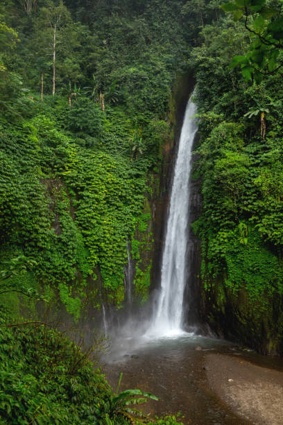 istock Munduk Waterfall. Bali island, Indonesia. 1074529678