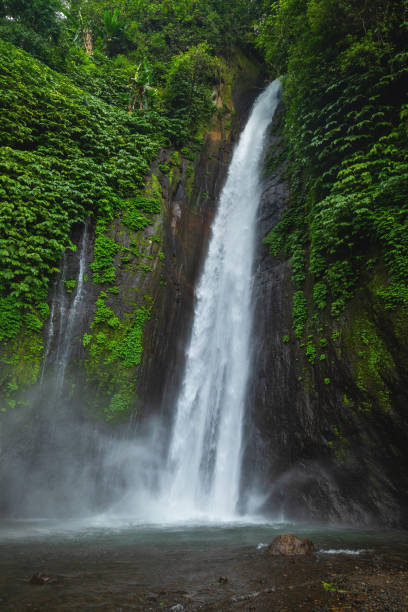 istock Munduk Waterfall. Bali island, Indonesia. 1074529802