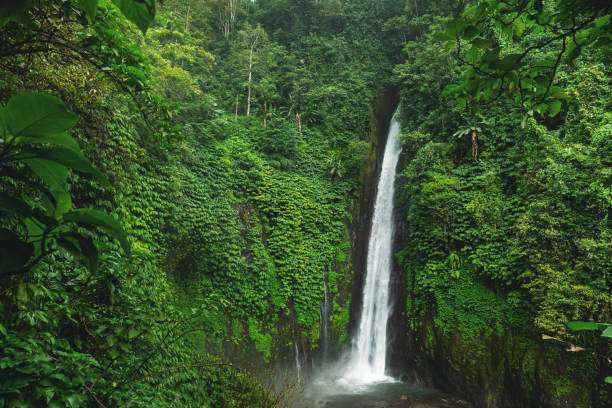 istock Munduk Waterfall. Bali island, Indonesia. 1074529852