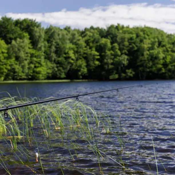 Fishing on Bobiencino lake in north Poland.Pomeranian Voivodeship.