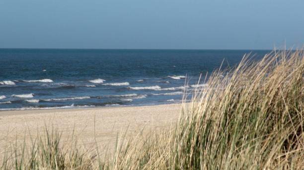 haga scheveningen north sea beach view w holandii europa - sand dune audio zdjęcia i obrazy z banku zdjęć