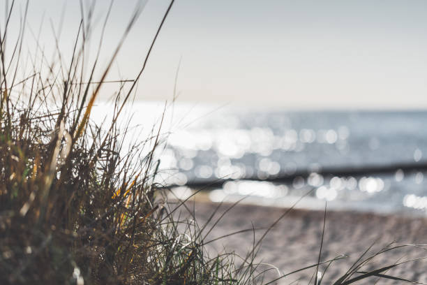 istock Day at the Baltic Sea on Hiddensee in bright sunlight with reflection 1074613566