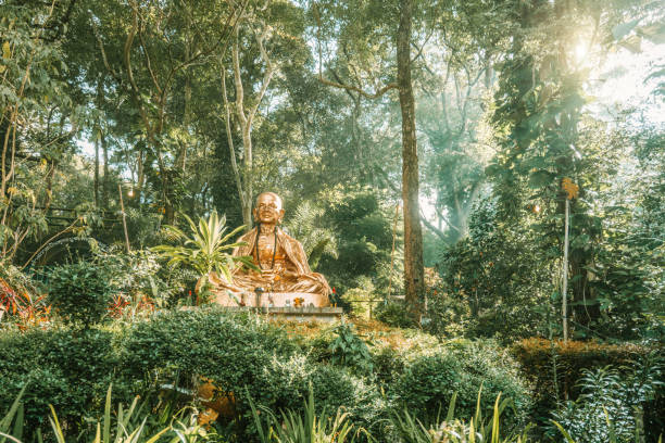 buddyjska świątynia w chiang mai, tajlandia - reclining buddha zdjęcia i obrazy z banku zdjęć