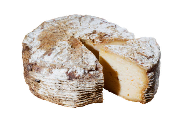 istock Head of cheese on white background. 1074630430