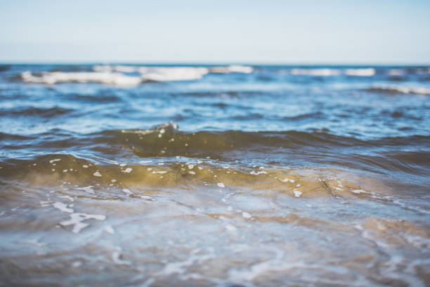 Sunny little waves by the beach