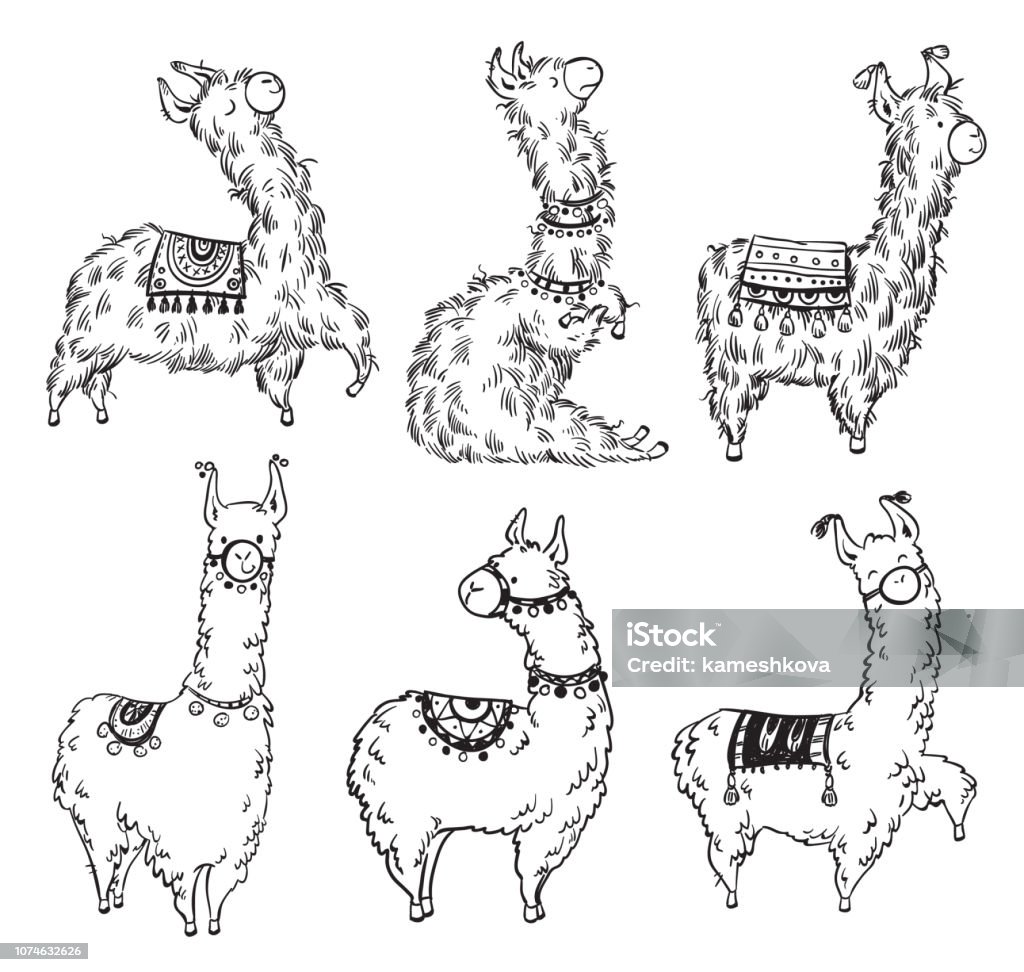 Conjunto de seis bastante mano dibujadas lamas, ilustración vectorial - arte vectorial de Diseño de trazado libre de derechos