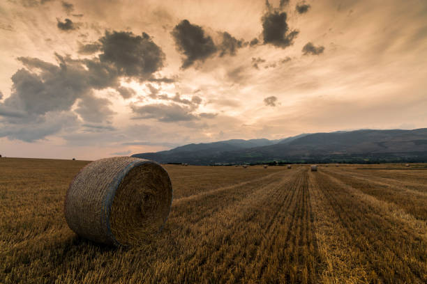 istock Grass Bale and Beautiful Sunset Sky in La Cerdanya - Spain 1074632646