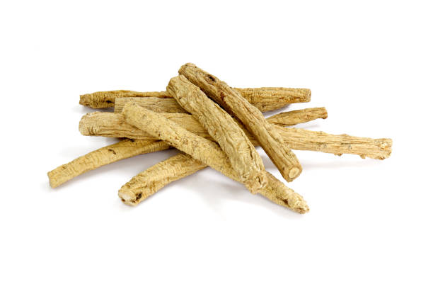 istock Chinese Herbal medicine - Dang  Shen (Codonopsis pilosula) 1074635686