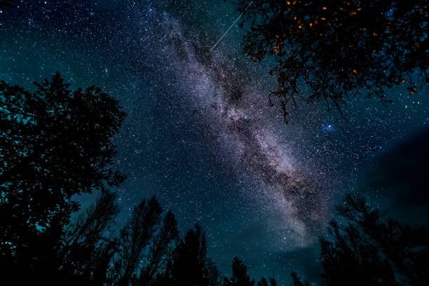 istock The Milky Way galaxy above forest 1074639490