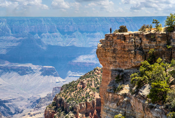 Solitude on Cape Royal Cape Royal is a scenic viewpoint on the North Rim of the Grand Canyon. Northern Arizona, American Southwest. cape royal stock pictures, royalty-free photos & images