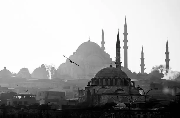 Mosque, Silhouette, Fog, Religion