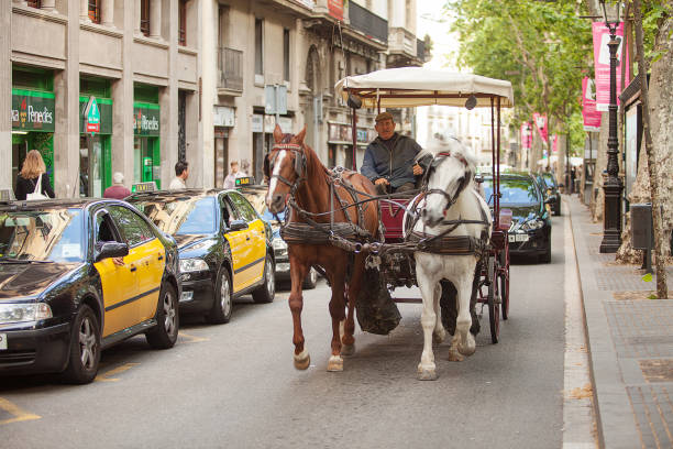 Istanbul,Turkey-October 01,2010: Horses and carriages on buyukada island. Buyukada island is one of the princess island near istanbul,turkey.Residents and tourists are not allowed to drive cars on the island.Horses and carriages are the main mode of transportation.