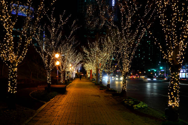 istock Christmas season 1074676386