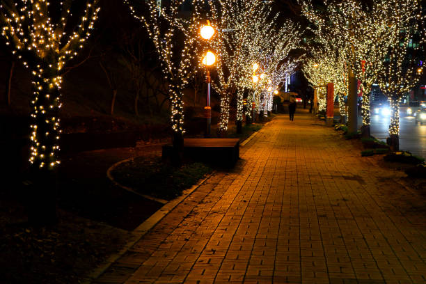 istock Christmas season 1074676390