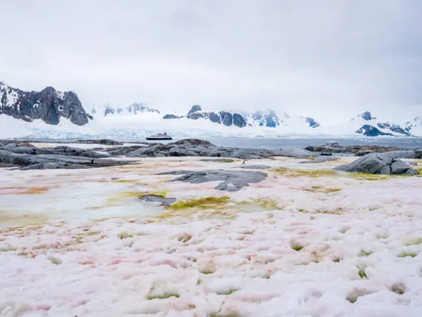 Photo of Beach of Petermann Island,  cruiseship in Penola Strait and Kiev Peninsula, Antarctic Peninsula, Antarctica