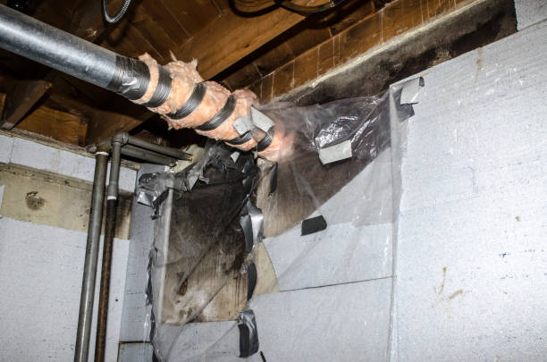 istock Basement concrete wall full of mold behind the polystyrene isolation 1074682538