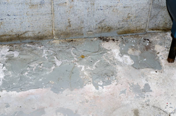istock Basement concrete floor full of efflorescence because of humidity 1074682598