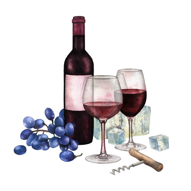 레드 와인, 병, 포도, 치즈 및 코르크의 두 수채화 안경 - grape bunch cabernet sauvignon grape isolated stock illustrations