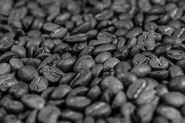 istock Background of many roasted coffee beans. Selective focus 1074709958