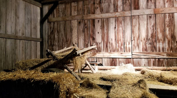 No room at the Inn manger constructed in a trailer bed of hay stock pictures, royalty-free photos & images