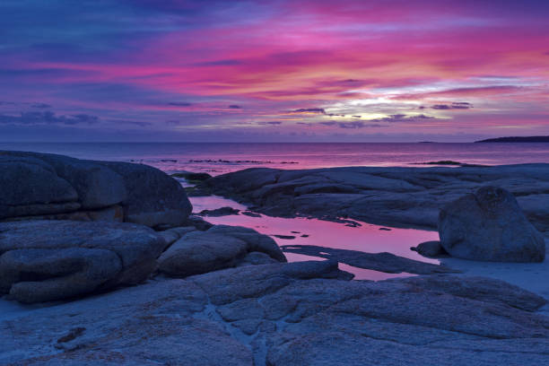 Beautiful glow of sunrise at Bay of Fires in Tasmania Beautiful pink and purple hues of sunrise at Cosy Corner South in Bay of Fires in Tasmania. bay of fires photos stock pictures, royalty-free photos & images