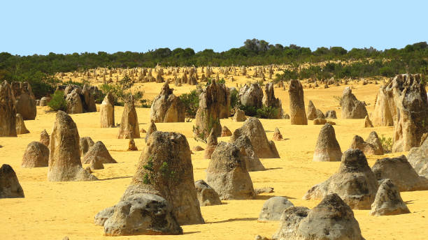 istock Pinnacles, Nambung National Park, Australia 1074732660