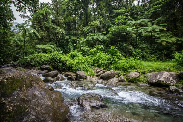 Photo of Beautiful stream in the caribbean