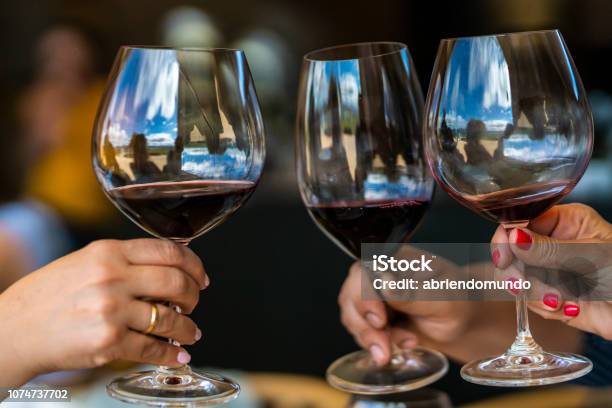 Feiern Sie Die Weihnachtstage Mit Weingläsern Während Eines Feiertages In Unseren Ferien In Der Mittagszeit In Einem Weinberg In Casablanca Chile Stockfoto und mehr Bilder von Weinprobe